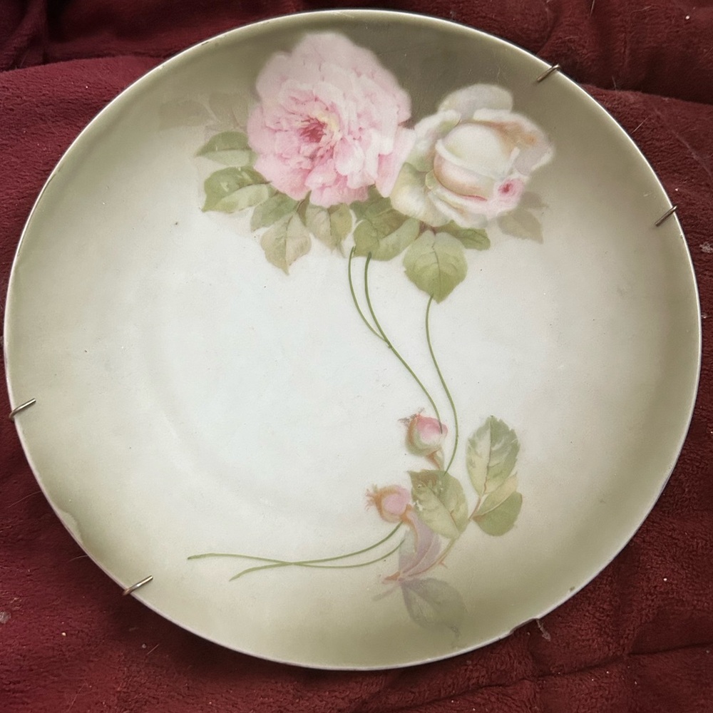 Vintage Hand Painted Bavarian Porcelain Plate